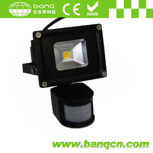 10W Sensitive LED Floodlight (LED reflector)